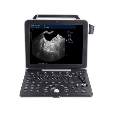 شراء جهاز الموجات فوق الصوتية البيطري المحمول بشاشة LCD مقاس 15 بوصة للتصوير بمقياس رمادي ثنائي الأبعاد online manufacture